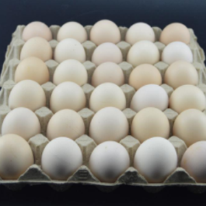 ���е���